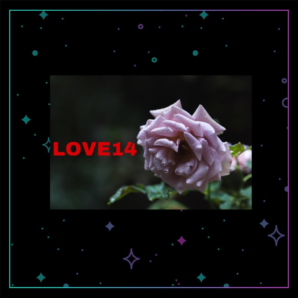 shopstarquality.com